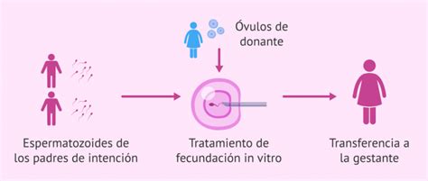 Soy gay y quiero ser papá gestación subrogada o adopción