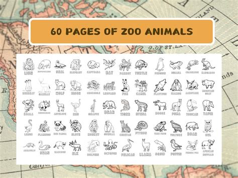 60 Zoo Animals With Names Coloring Pages for Kids Learning Materials ...