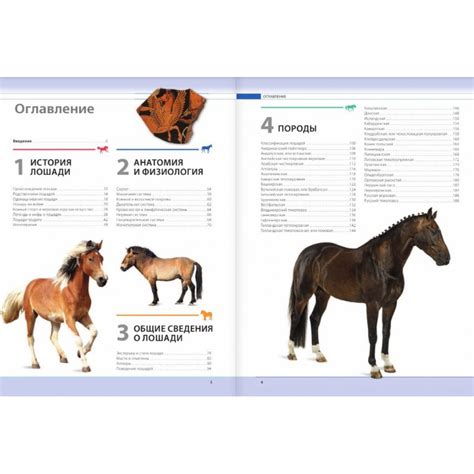 Лошади. Самая полная иллюстрированная энциклопедия | Доставка по Европе
