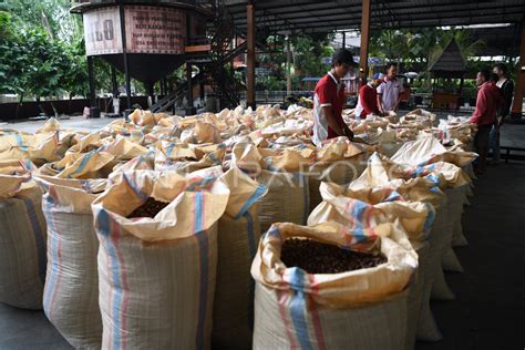 Kampung Coklat Blitar Antara Foto