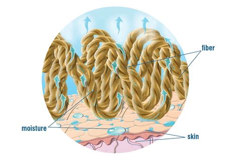 Moisture management - MOIRA TACTICAL