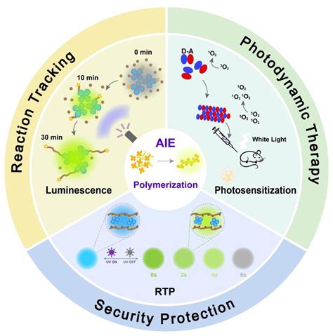The schematic diagram of the representative polymerization-enhanced ... 