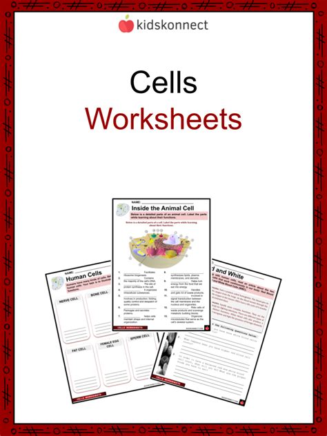Worksheets Cells