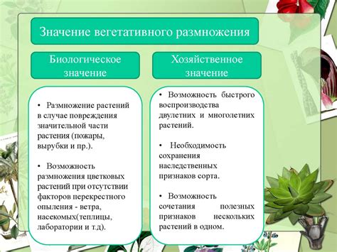 Вегетативное размножение растений. Урок №23. Биология. 6 класс ...