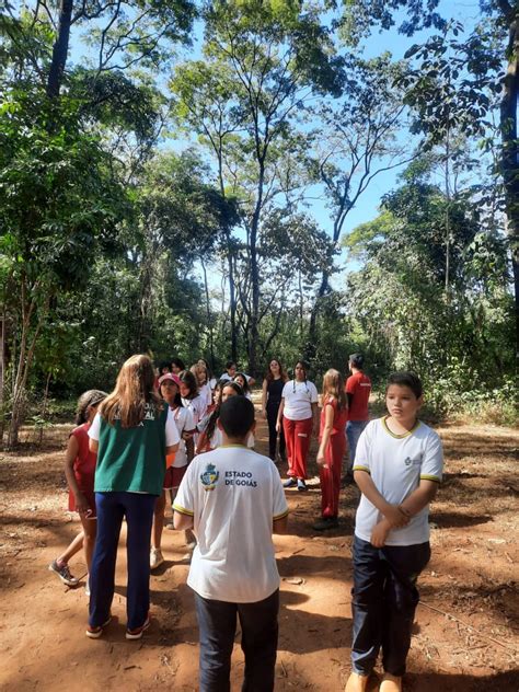 O projeto Colônia de Férias da Vila Ambiental terá trilhas guiadas para