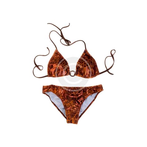 Printed Bikini Set Omnia Blue Gentlemens Club