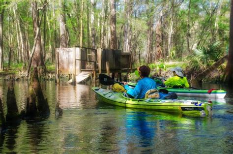 Paddling Past Naked Eds Florida Paddle Notes