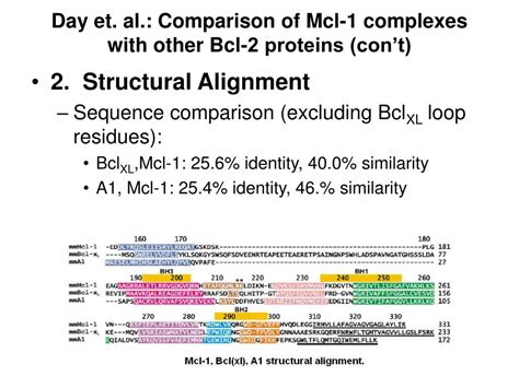 PPT - The Bh3 Domain of Puma: Structure Determination and Small ...