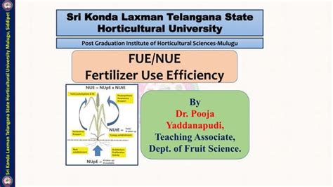 Fertilizer Use Effeciency Pptx