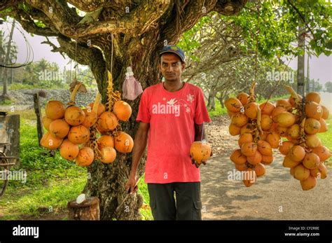 King Coconut Seller Hi Res Stock Photography And Images Alamy