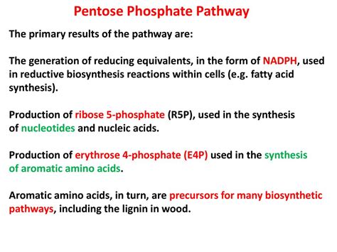 Pentose Phosphate Pathway Ppt Download