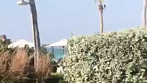 Syrian Gay Porn Videos Syrian Arab Republic Sex Xhamster