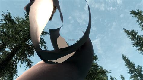 All In One H D T Animated Pussy Missing Vagina Textures Skyrim Technical Support Loverslab