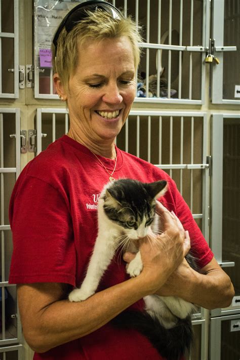 Lansing Woman Volunteers Her Time To The Capital Area Humane Society