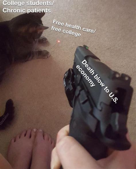 Socialism Is Gay R Fragilecommunism