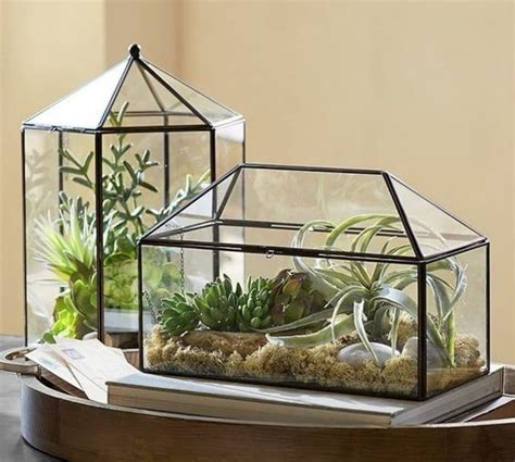 Florarium pro vaše květiny MOJE Bydlení