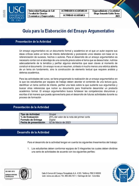 P1A19_Guía_Elaboración_Ensayo_Argumentativo | PDF | Ensayos | Creatividad 