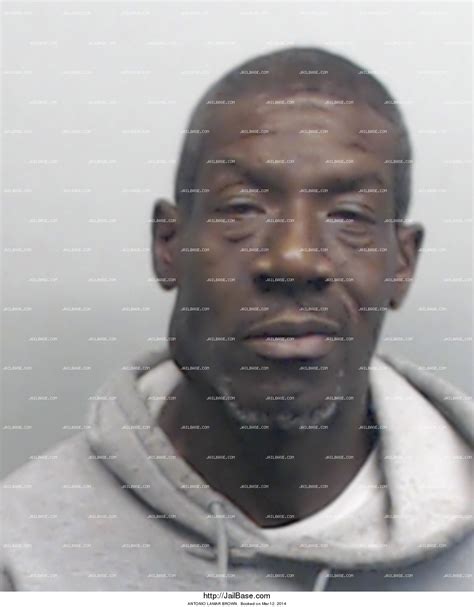 Lamar County Jail Mugshots - Lamarcounty.us