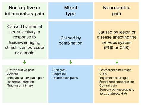 pain types  pathways concise medical knowledge