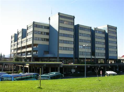 university   basque country