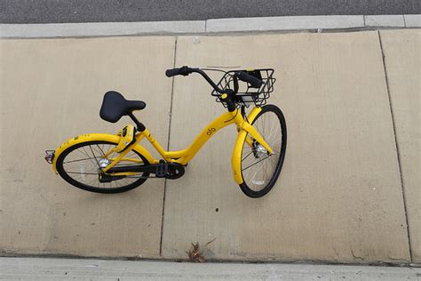 ofo    dc          fashionable