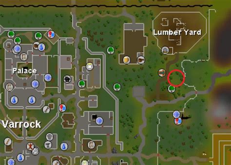 Osrs Cooking Training Guide Rune Fanatics