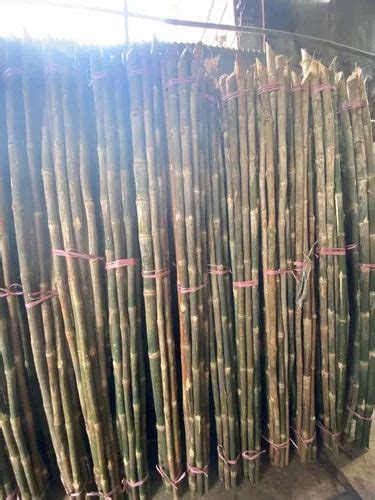 Round Bamboo Sticks At Rs 20 Piece In Nagaon ID 2852858971555