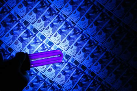 There Has Been a Mind-Boggling Amount of Unemployment Fraud Since the