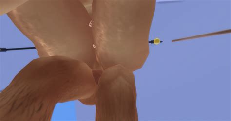 Bbw Bouncy Titty Slut Cooks Me Dinner Update Just Realized Posted On Wrong Forum This Is