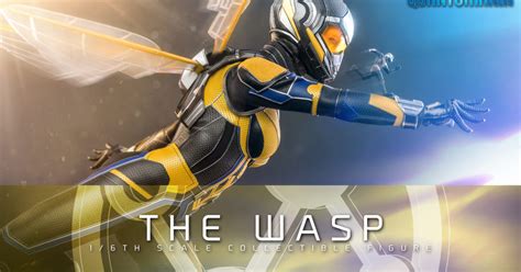 The Wasp Stings Hot Toys With Her Newest Scale Ant Man Figure