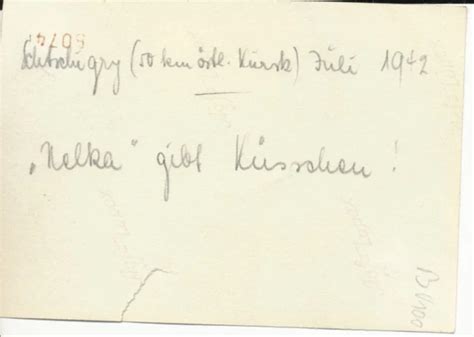 FOTO NACKTE SOLDATEN Wehrmacht Nude Gay Hund Bunker Kursk Russland 1942 BU100 EUR 4 00