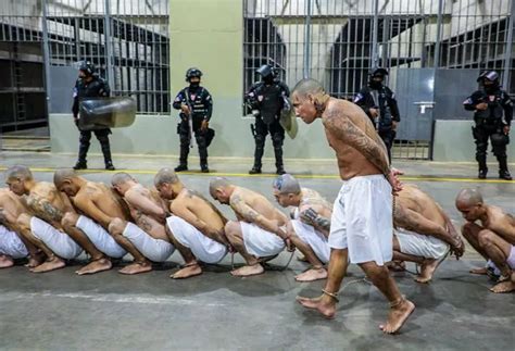 Brutal mega-prison housing 40,000 gangsters opens up to new lags with ...