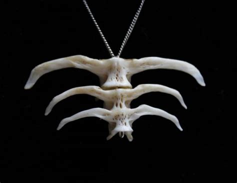 Aztec Bone Pendant By Hands And Teeth
