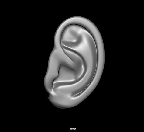 Artstation Human Ear 3d Model