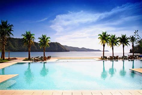 pico de loro