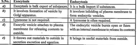 Differentiate between exocytosis and endocytosis?