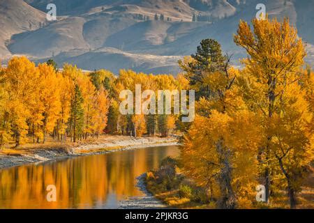 USA, Washington State. Methow Valley wildflowers, Balsamroot and