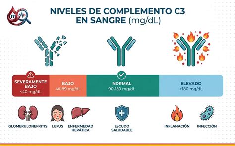 O Que É Complemento C3 - Sistema Inmunitario en el Análisis de Sangre: Complemento C3, C4 y ...