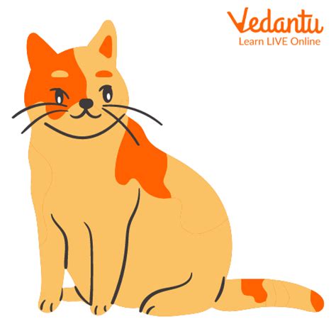 Read My Cat Is Fat Poems For Kids Popular Poems For Children