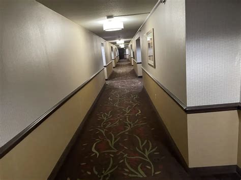 Circus Circus Las Vegas - West Tower King Room Review