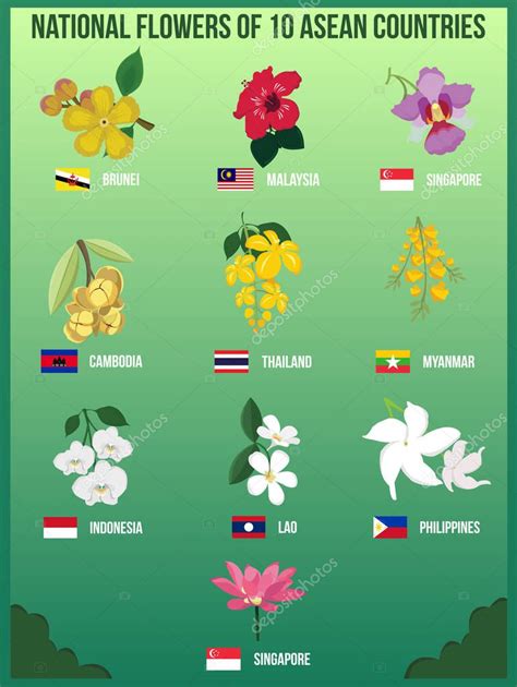 National Flowers Of Asean Countries Best