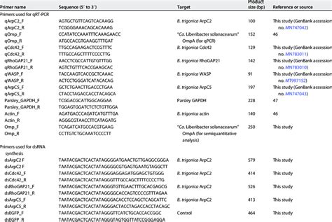 Primers used for PCR detection, qRT-PCR, and dsRNA synthesis | Download ...