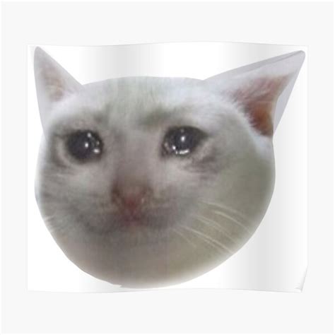 The Best 10 Estoy Harto Gato Llorando Meme Plantilla