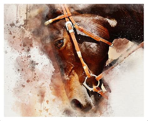 Обои с лошадьми: 50 фото