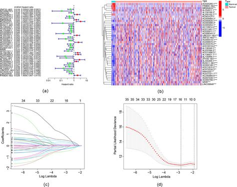 Extraction Of M7g Related Lncrnas Prognostic Markers In Blca A The