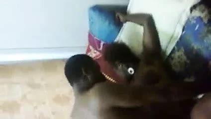 Png Local Kwap Amateur Amateur Porn XHamster