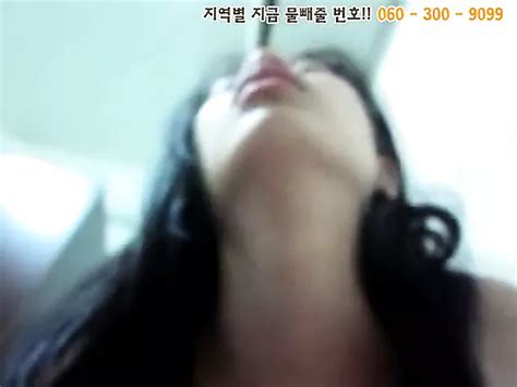 Korean Couples Asian Porn XHamster