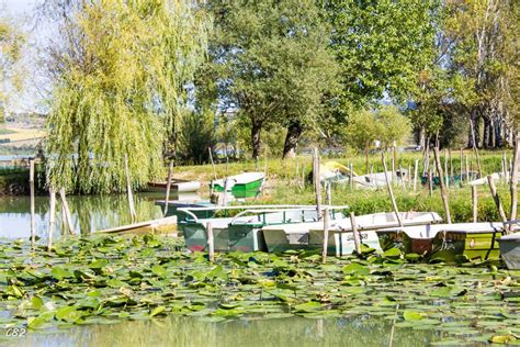 Laghi Di Chiusi E Montepulciano