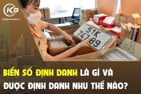bien  dinh danh la gi va duoc dinh danh nhu  nao
