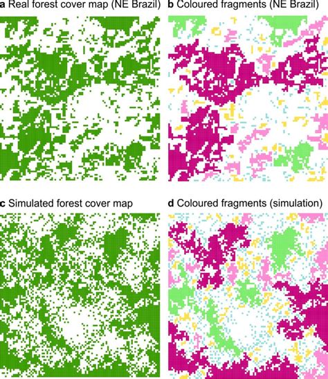 scaling rule  global tropical forest fragmentation formind